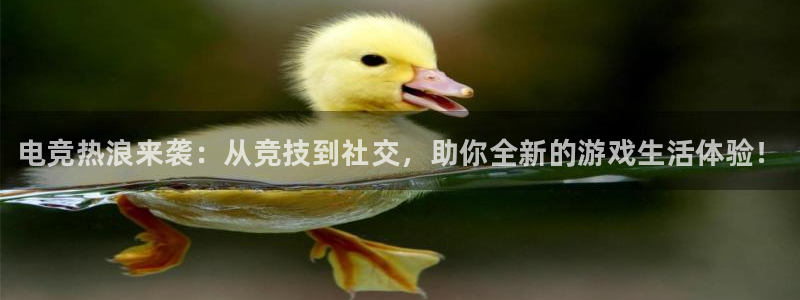 雷火电竞体育：电竞热浪来袭：从竞技到社交，助你全新的游戏生活体验！