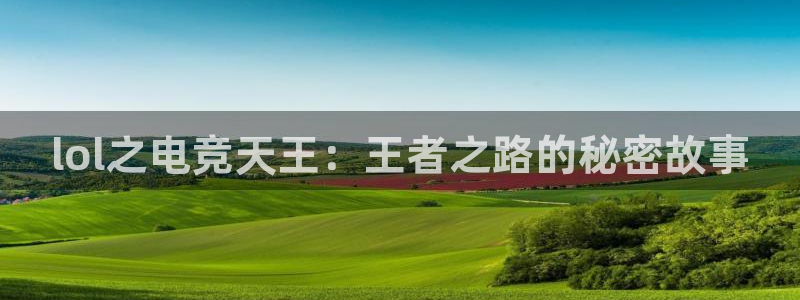 海南雷火电竞